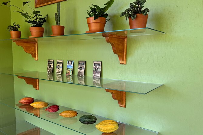 Kamananui Cacao Orchard Tour - From tropical fruit to chocolate bar