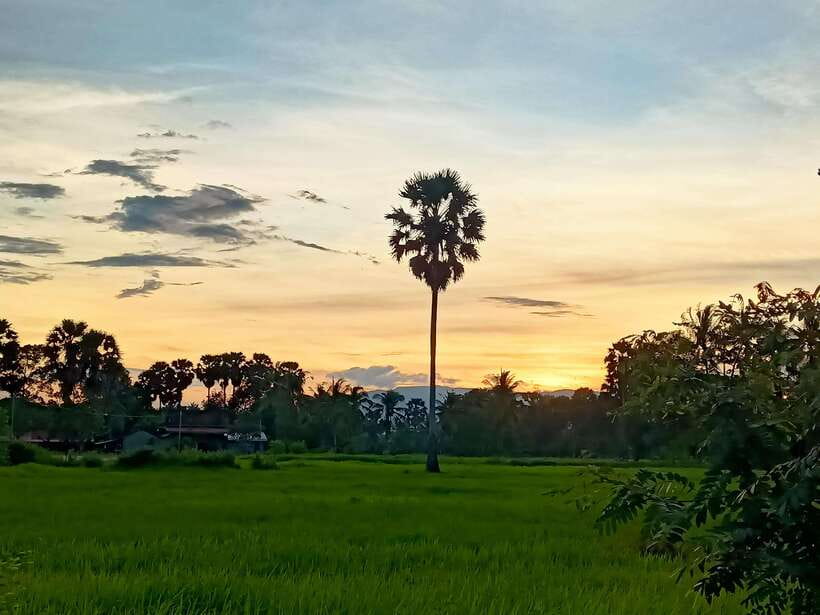 Kampot Countryside include Pepper farm,Kep crab market beach - Key points to know before booking