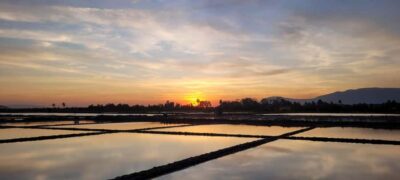 Kampot Countryside include Pepper farm, Salt field & Lake