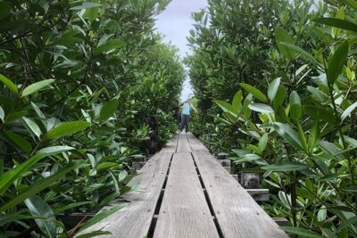 Kampot Countryside Tour – Pepper Farm, Salt Lake, Caves, and more