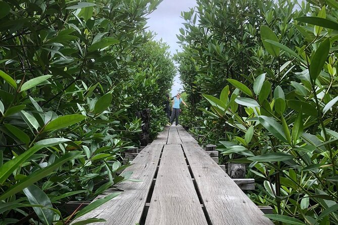 Kampot Countryside Tour - Pepper Farm, Salt Lake, Caves, and more - Salt fields and the work behind Kampot’s salt