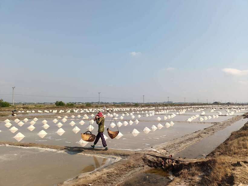 Kampot: Full-day Countryside Tour with Pepper Farm and Kep - The ride to Kep and the crab market