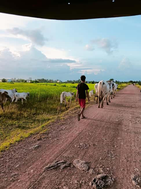 Kampot Pepper farm & Kayak trip around Green cathedral Sunse - What the small group changes