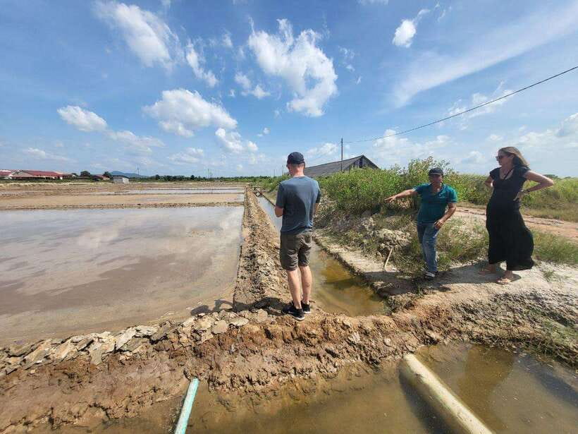 Kampot Pepper Farm, Salt Fields, Cave from Sihanoukville - Key points to know before booking