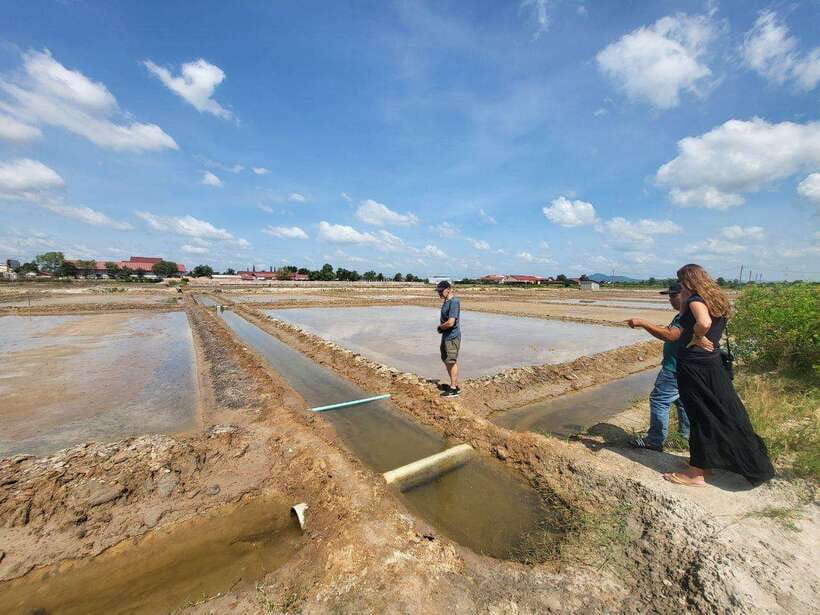 Kampot Pepper Farm, Salt Fields, Cave from Sihanoukville - Kampot town and its riverside colonial buildings
