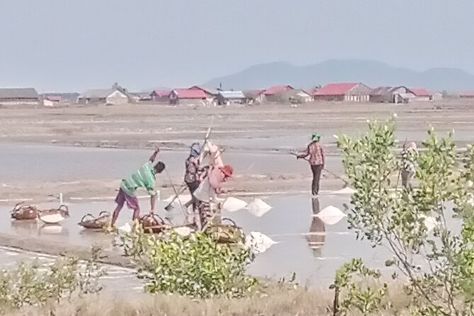 KAMPOT TRAVEL-Pepper farm. Cave.Secret lake-Crab market & Salt... - Why this Kampot and Kep day works