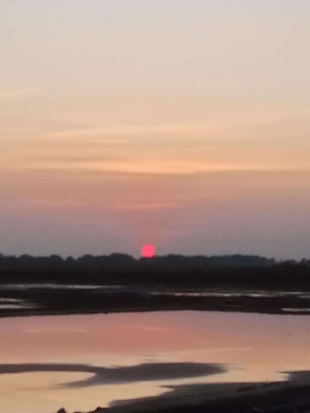 Kampot: Tuk Tuk Trip to Pepper Farm, Kep, Crab Market & More - The guide can shape your whole day