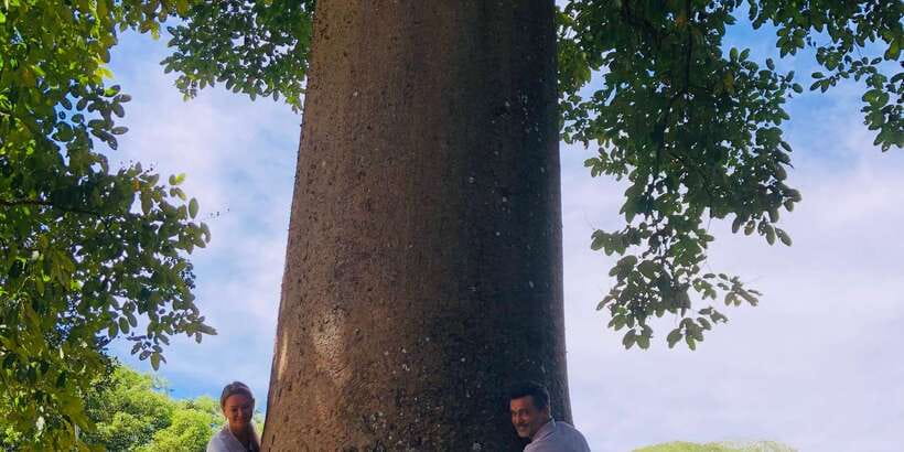 Kandy privet day tour with pinnawala and Tea plantation - Key points to know before booking