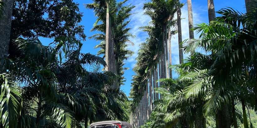 Kandy privet day tour with pinnawala and Tea plantation - What $47 really buys you
