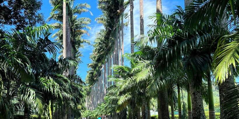 Kandy privet day tour with pinnawala and Tea plantation - Bahirawakanda Temple and views over Kandy