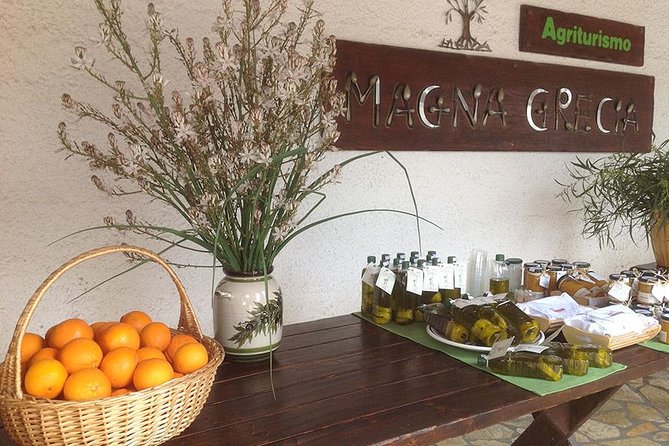 Katakolon 7hour tour : Olympia-Honey Farm-Winery-Beach - The Olympia Archaeological Museum in one hour