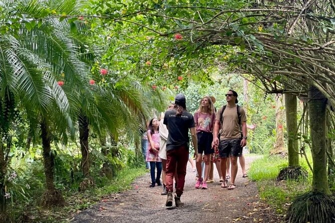 Kauai Chocolate Farm Tasting Tour - From botanical garden to cacao tree