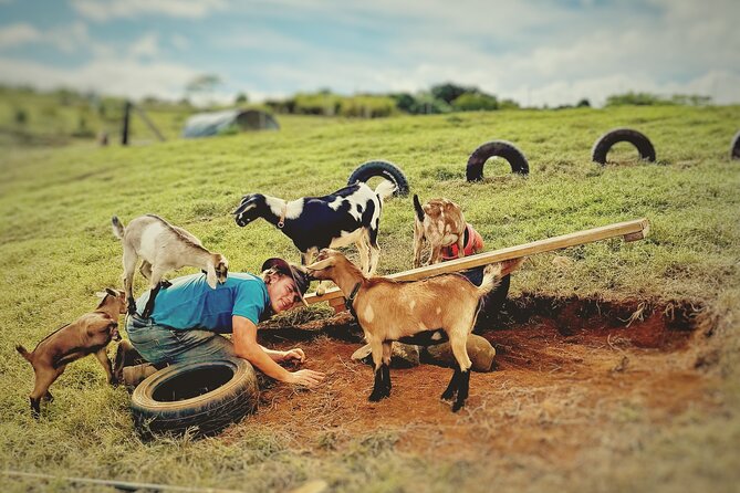 Kauai Private Baby Farm Animal Experience & Micro Dairy Immersion - Quick points to know