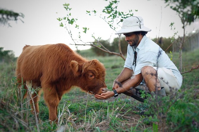 Kauai Private Baby Farm Animal Experience & Micro Dairy Immersion - A working farm, not a petting zoo