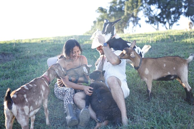 Kauai Private Baby Farm Animal Experience & Micro Dairy Immersion - Timing, directions, and what to wear