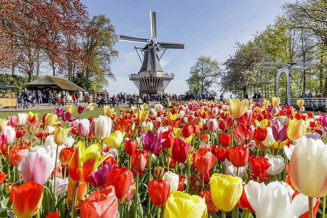 Keukenhof Skip-the-line Tickets: Countryside & Farm Private Tour - Zaanse Schans and the windmills beside the Zaan