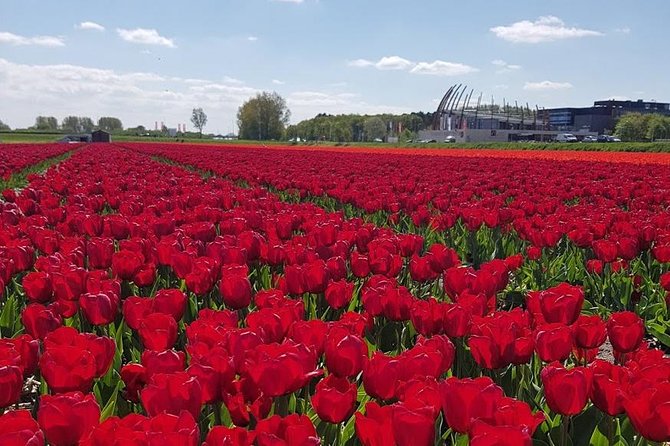 Keukenhof Skip-the-line Tickets: Countryside & Farm Private Tour - Jacobs Hoeve Cheese Farm and Dutch cheese tasting