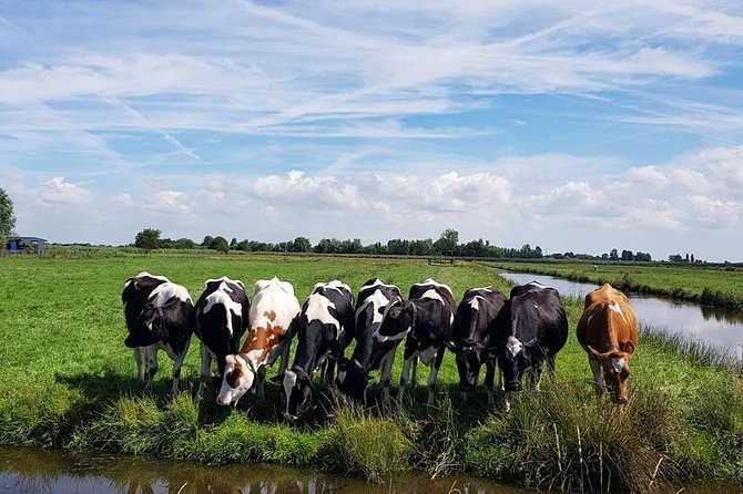 Keukenhof Skip-the-line Tickets: Countryside & Farm Private Tour - Price, pace, and who gets the best value