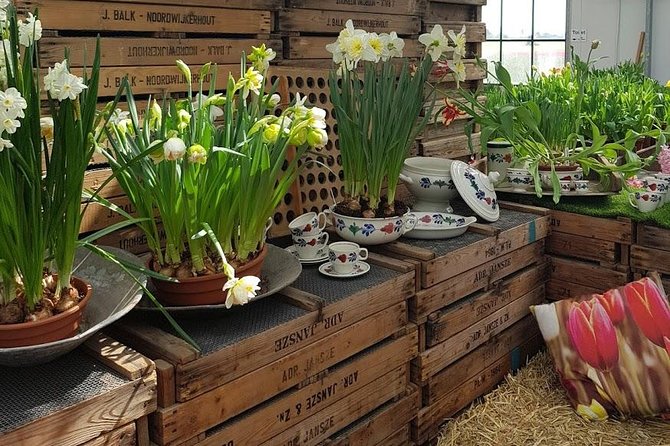 Keukenhof Skip-the-line Tickets: Countryside & Farm Private Tour - Lisse flower fields and a working bulb farm