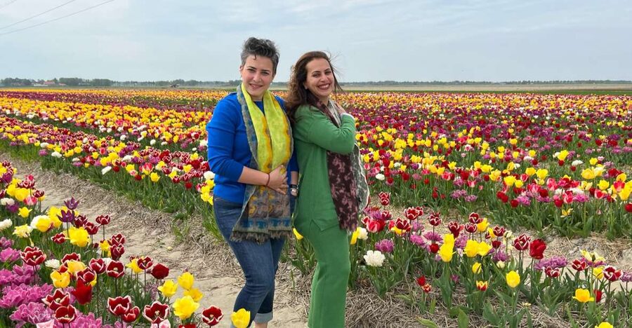 Keukenhof, Tulip Farm, Flower Fields & Windmills - Why this private Dutch day works