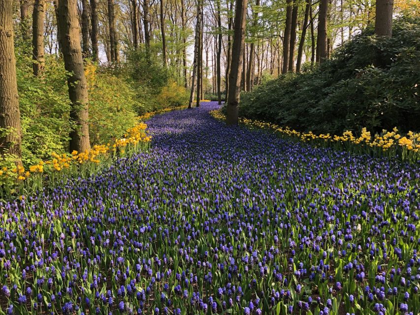 Keukenhof, Tulip Farm, Flower Fields & Windmills - Volendam’s colorful village streets
