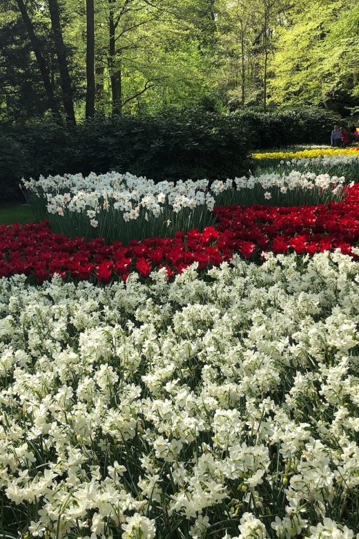 Keukenhof, Tulip Farm, Flower Fields & Windmills - Zaanse Schans and the working windmills