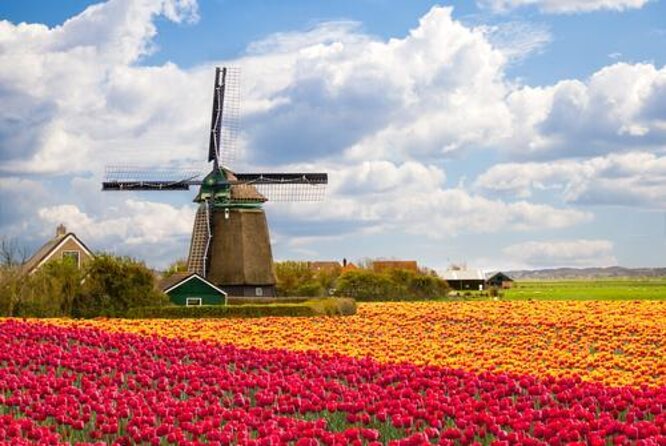 Keukenhof, Tulip Farm, Flower Fields & Zaanse Schans Windmills - Key points to know before booking