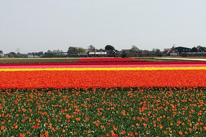 Keukenhof, Tulip Farm, Flower Fields & Zaanse Schans Windmills - Zaanse Schans: windmills that still work