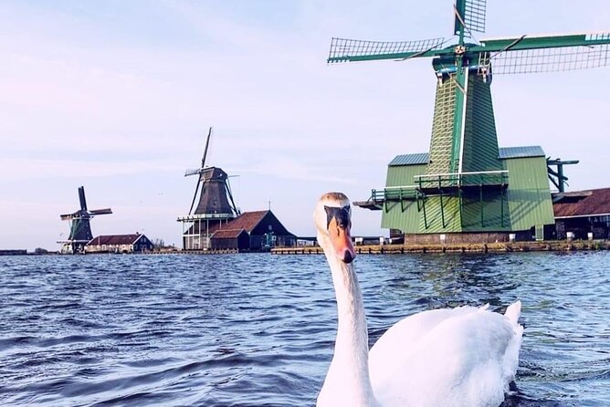 Keukenhof, Tulip Farm, Flower Fields & Zaanse Schans Windmills - Who should book this experience?