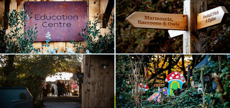 Kildare: Clonfert Farm General Admission Ticket - The mini zoo and its unusual residents
