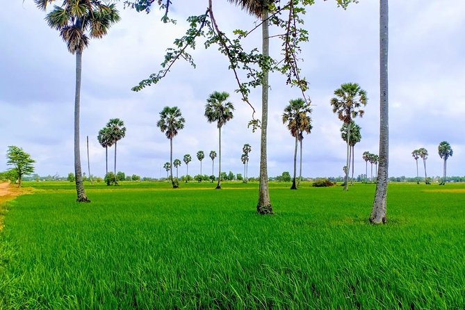 Killing Field & Paddy Rice Fields Tuk Tuk Adventure - Tonle Bati, rice fields, and Ta Prohm