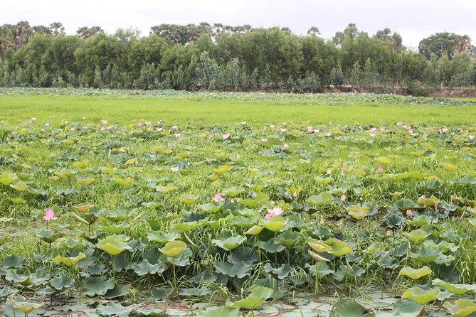Killing Field & Paddy Rice Fields Tuk Tuk Adventure - The guide can shape the whole day