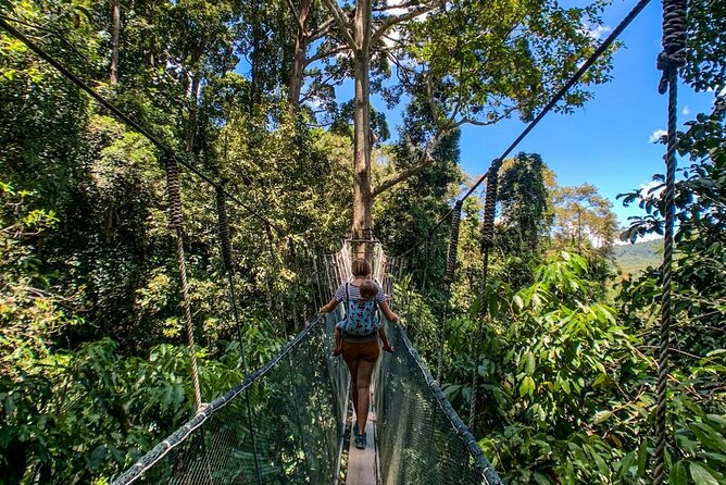Kinabalu Park & Poring Hot Springs Tour with Desa Dairy Farm - Poring Hot Springs, a short chance to soak