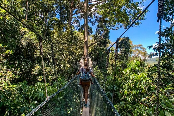 Kinabalu Park Tour with Desa Dairy Farm & Poring Hot Springs - Desa Dairy Farm and the Mount Kinabalu view