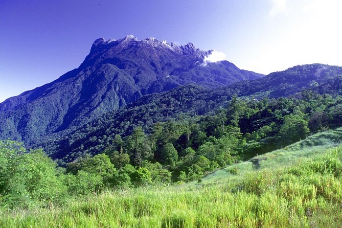 Kinabalu Park Tour with Desa Dairy Farm & Poring Hot Springs - Poring Nature Reserve and the 200-foot canopy walkway