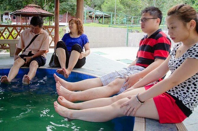 Kinabalu Park Tour with Desa Dairy Farm & Poring Hot Springs - Poring Hot Springs and the Japanese-style baths