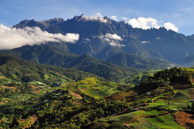 Kinabalu Park Tour with Desa Dairy Farm & Poring Hot Springs - Lunch, transport, and the real value of $124.82