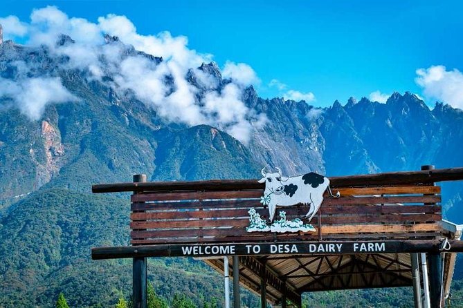 Kinabalu Park With Rumah Terbalik & Desa Cow Farm - Key things to know before you book