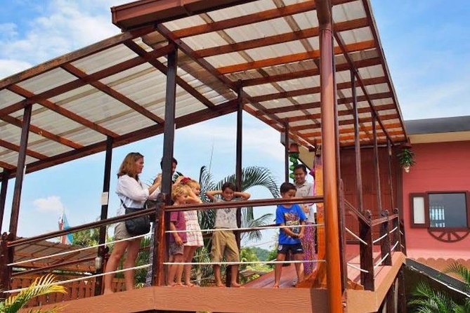 Kinabalu Park With Rumah Terbalik & Desa Cow Farm - Desa Dairy Farm: calves, cattle, and open farmland