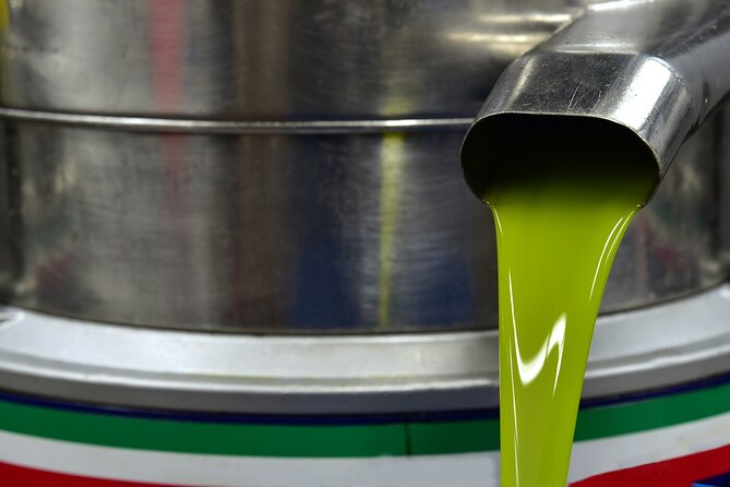Kleanthi Olive Farm: Guided Tour with Local Delicacies Tasting - The guides shape the experience