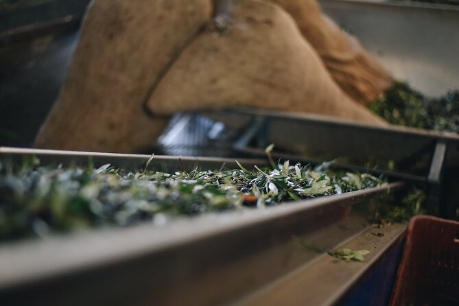 Kleanthi Olive Farm: Guided Tour with Local Delicacies Tasting - A practical stop from Heraklion