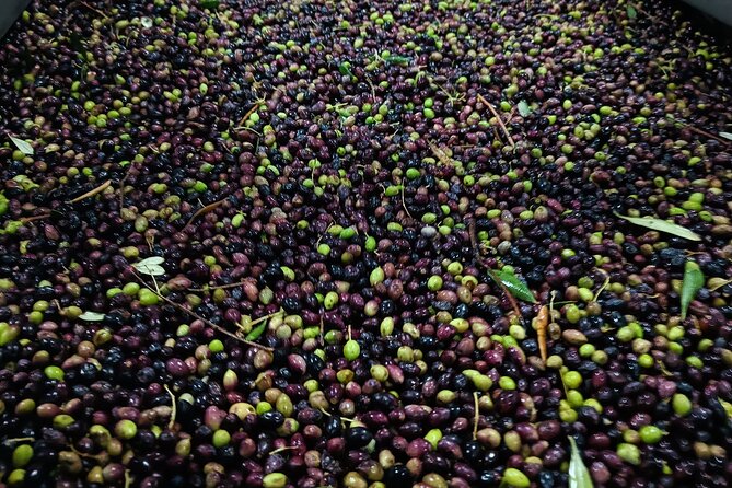 Kleanthi Olive Farm: Guided Tour with Local Delicacies Tasting - Who will enjoy this tour most