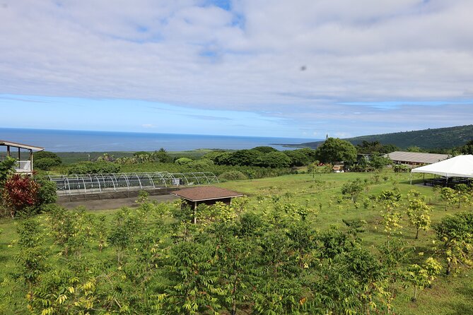 Kona Coffee Farm Tour from Tree to Tasting Room - Why Kona coffee begins with this particular place