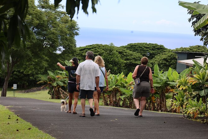 Kona Coffee Farm Tour from Tree to Tasting Room - The roasting room turns a lesson into a tasting