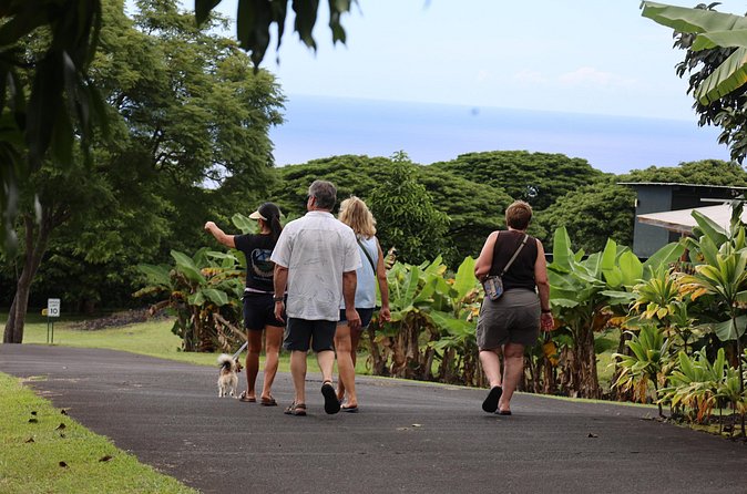 Kona Coffee Farm Tour from Tree to Tasting Room - The $5 price makes this an easy addition to a Kona day