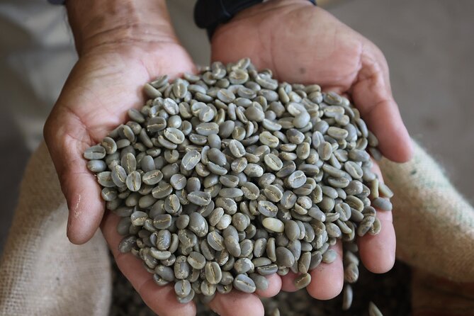 Kona Coffee Farm Tour from Tree to Tasting Room - The honest drawback: small farm, uneven presentation