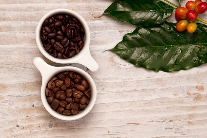 Kona Coffee Tasting: A Farm to Cup Experience - The setting and the view