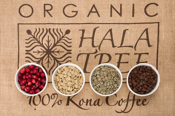 Kona Coffee Tasting: A Farm to Cup Experience - Who will enjoy this most
