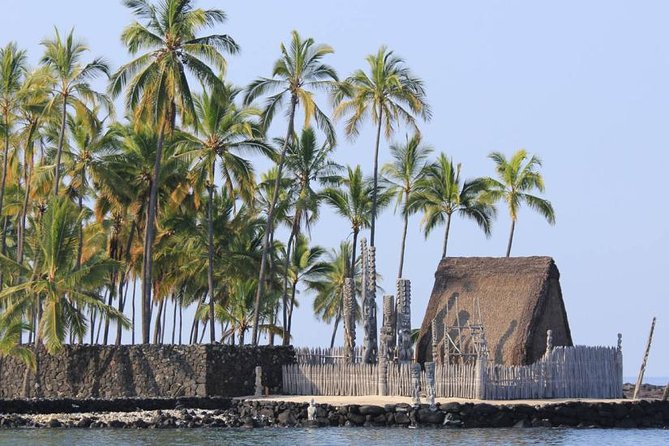 Kona Tour: Bee Farm, Kona Coffee, and National Historical Parks - Bay View Farm and the Kona coffee belt