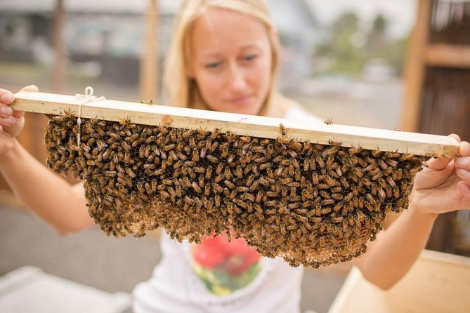 Kona Tour: Bee Farm, Kona Coffee, and National Historical Parks - Kona’s historic center and the Captain Cook story